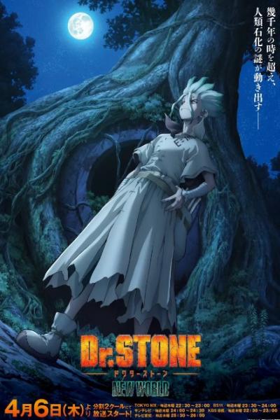 Dr.Stone 3 ด็อกเตอร์สโตน ภาค 3 ซับไทย